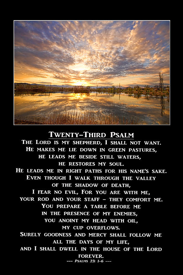 Twenty-Third Psalm Prayer Photograph by James BO Insogna