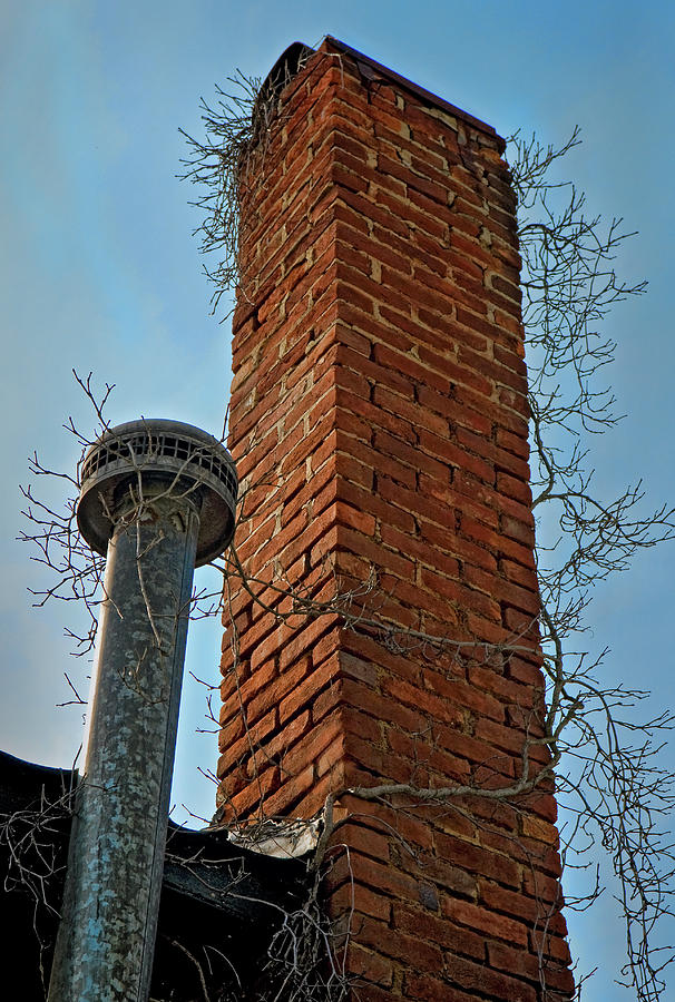 Twig Chimney Photograph by Murray Bloom