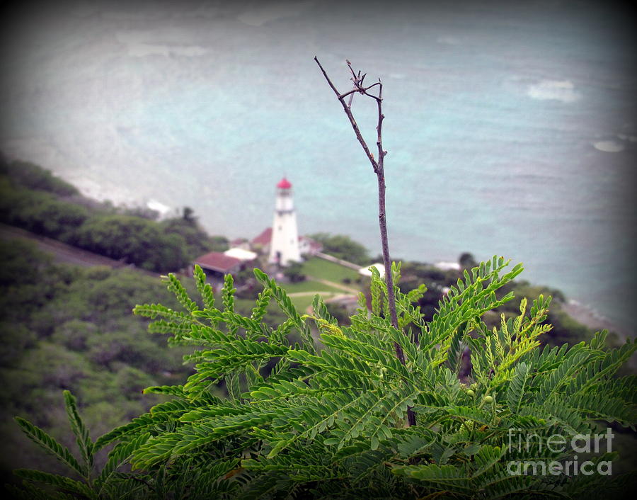 Oahu Photograph - Twig plant and lighthouse by Joy Patzner Oahu Photograph - Twig plant and lighthouse by Joy Patzner