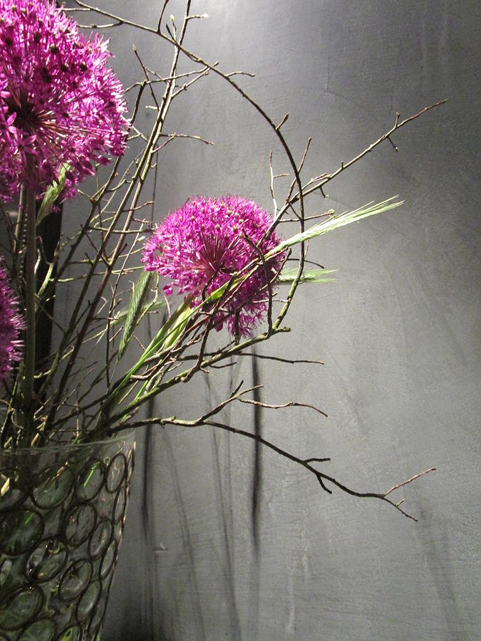 Twigs and purple Photograph by Rosita Larsson