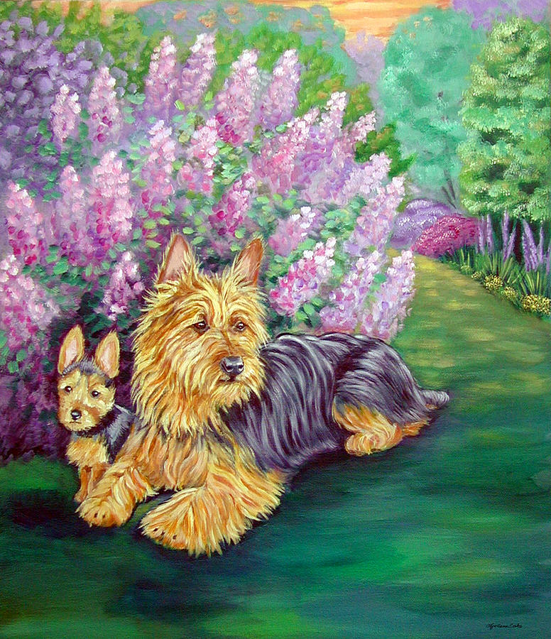 Dog Painting - Twilight - Australian Terrier by Lyn Cook