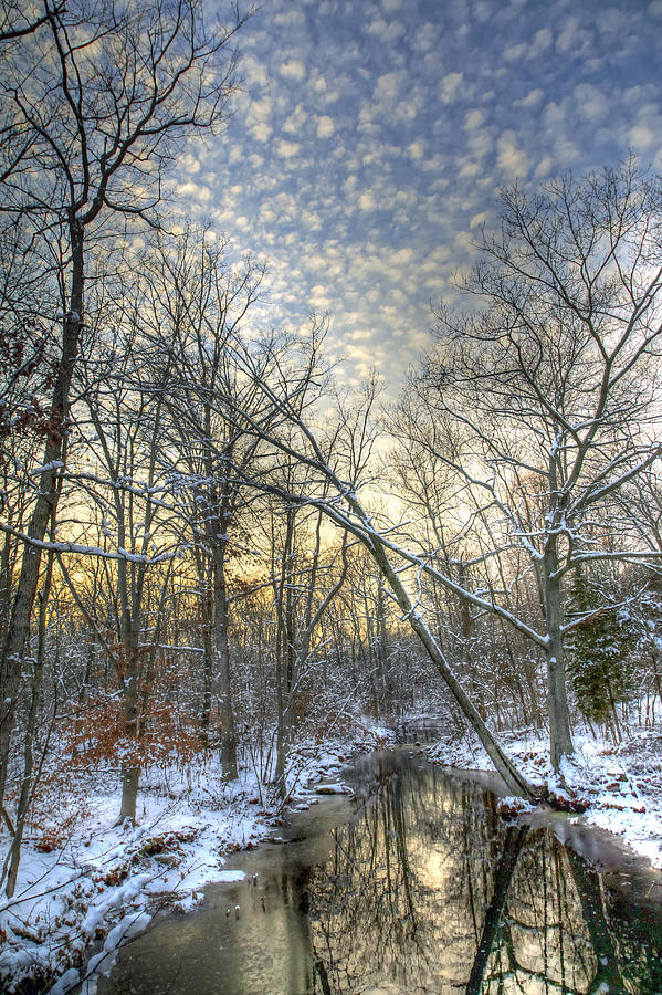 Twilight at Deep Creek Photograph by Carol Senske