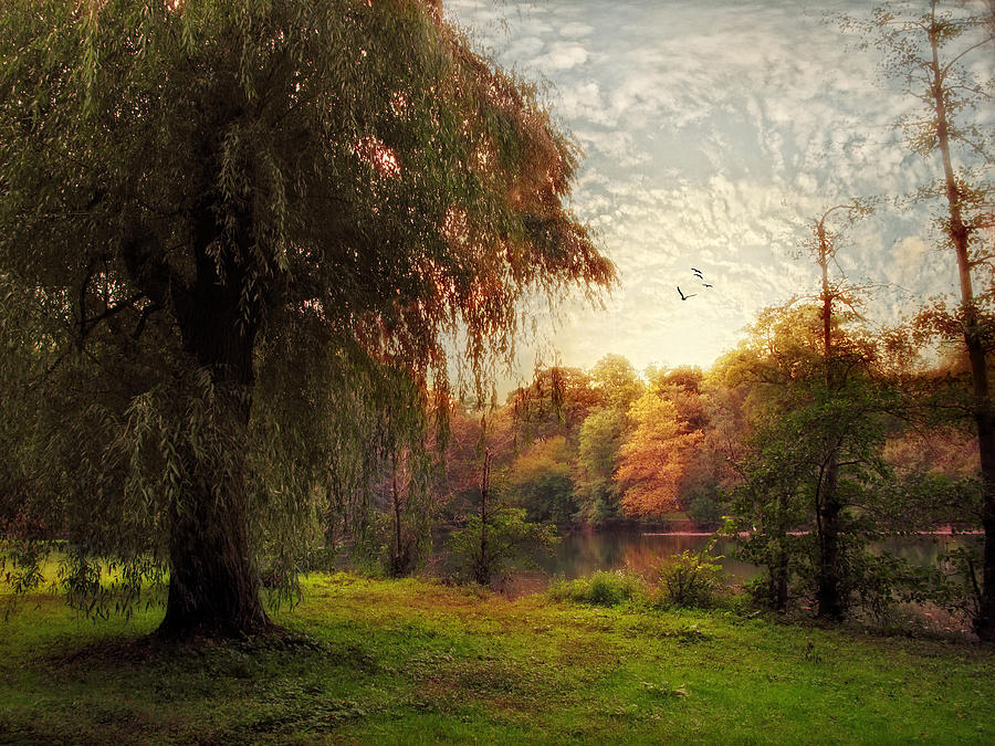 Twilight Autumn Photograph by Jessica Jenney