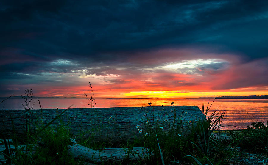 Sun Photograph - Twilight by Blanca Braun Sun Photograph - Twilight by Blanca Braun