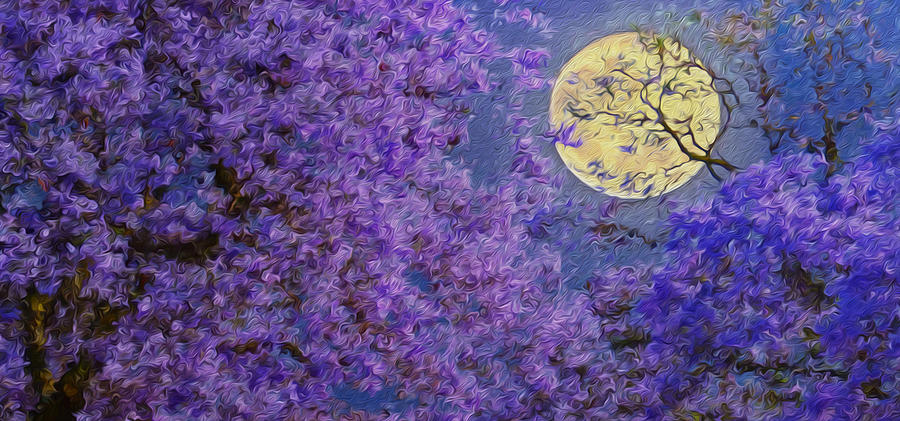 Twilight Canopy Digital Art by Vincent Franco
