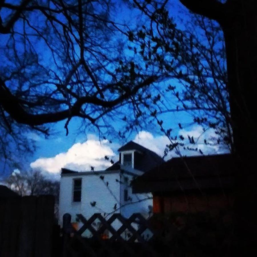 Blue Photograph - Twilight Capture. Big Puffy Cloud by Genevieve Esson