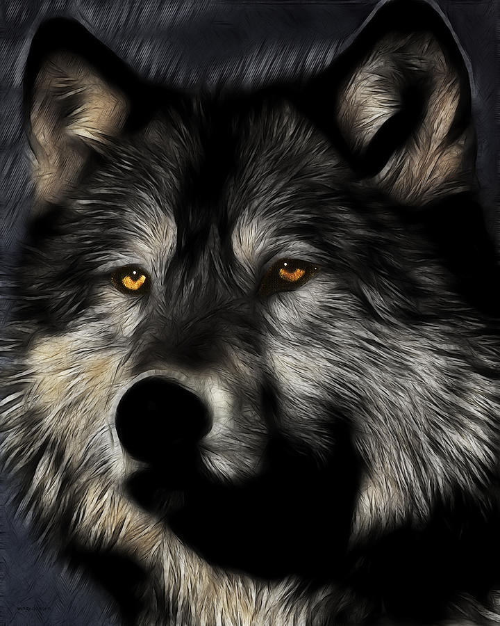 white werewolf twilight