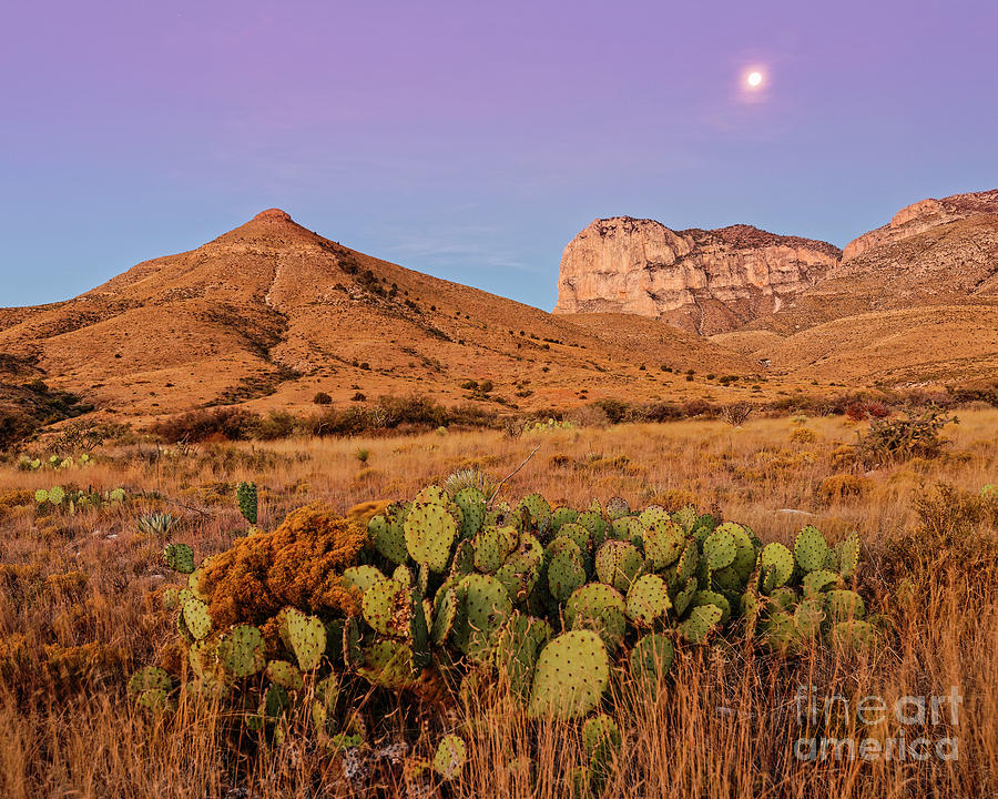 Twilight Glow of the Chihuahua Desert at Guadalupe Mountains National Park - West Texas Photograph by Silvio Ligutti