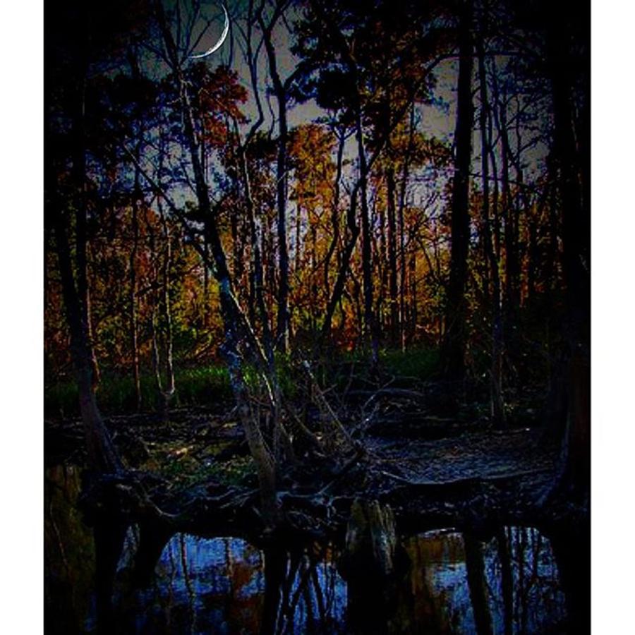 Swamp Photograph - Twilight In The Bayou. #swamp #tourist by Yvonne Thomas