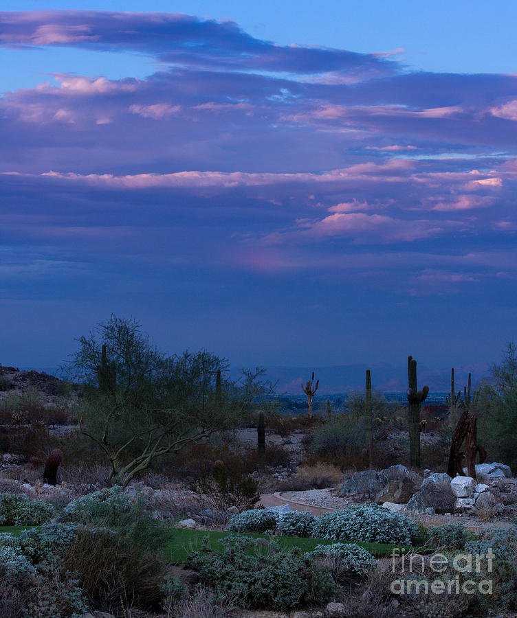 Twilight in the Desert Photograph by Amy Sorvillo Fine Art America