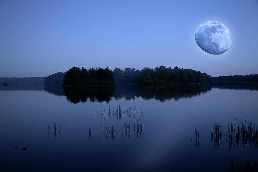 Twilight Lake Moonrise Photograph by Lone Palm Studio - Fine Art America