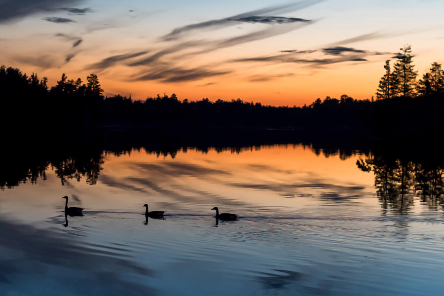 Twilight Lake Swim New Jersey Photograph by Terry DeLuco