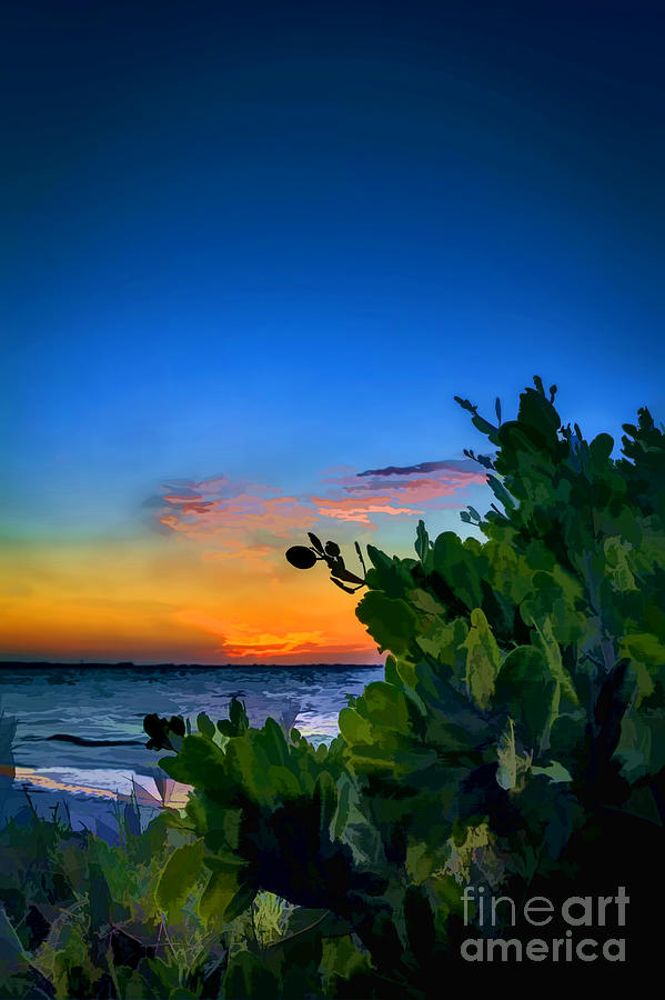 Sunset Photograph - Twilight Mangrove by Marvin Spates