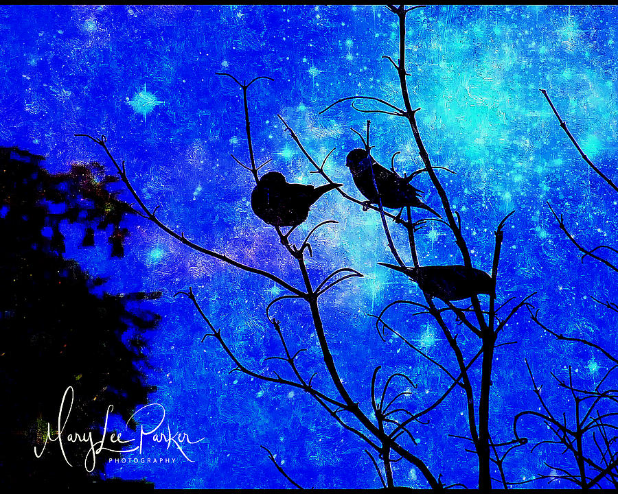 Bird Digital Art - Twilight by MaryLee Parker