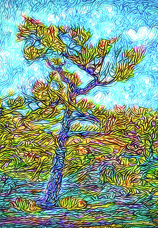 Twilight Mountain Pine - Colorado Digital Art by Joel Bruce Wallach