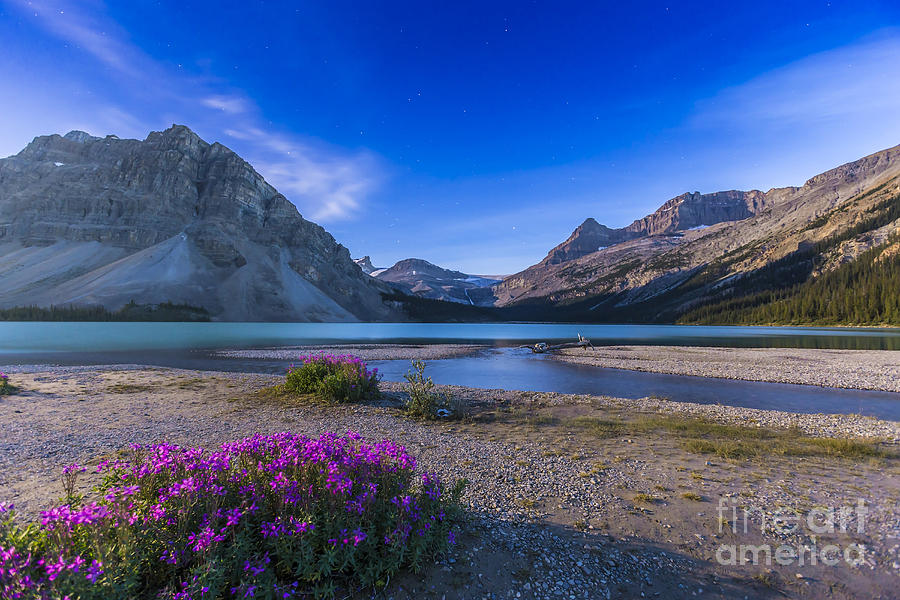 Twilight On Bow Lake, Banff National Photograph by Alan Dyer