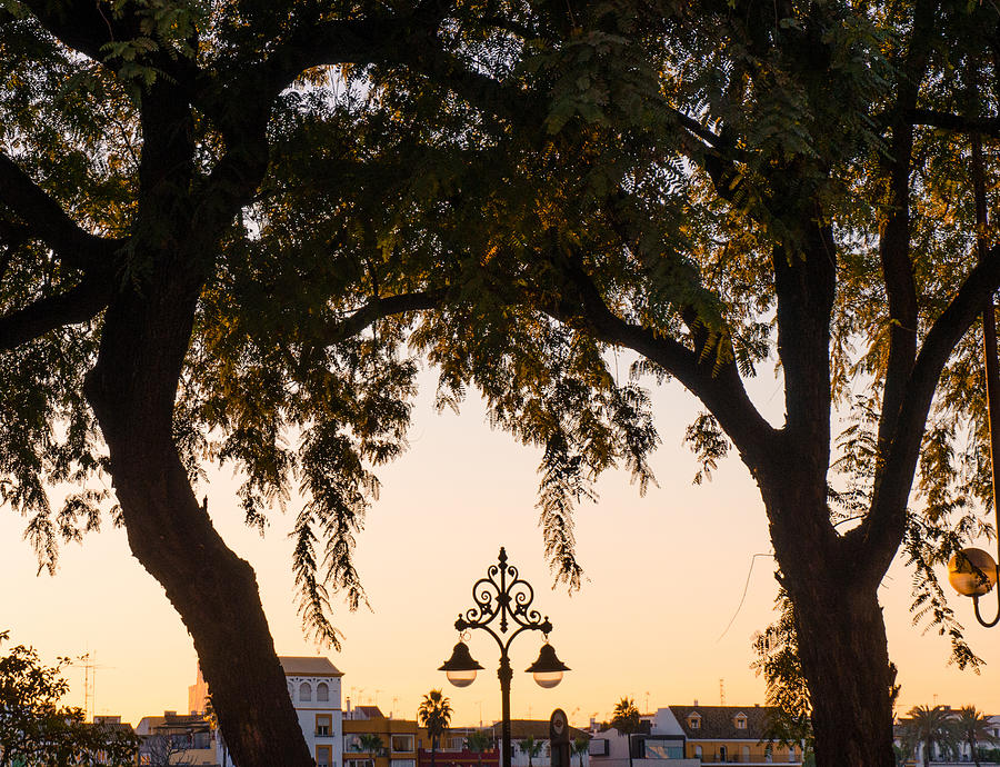Twilight on Guadalquivir Photograph by AM FineArtPrints