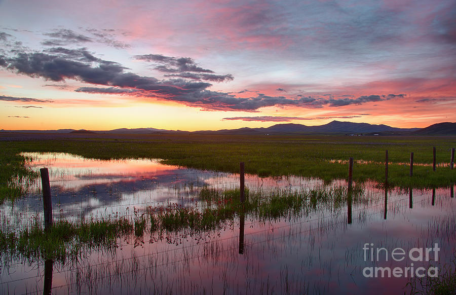 Twilight on the Marsh Photograph by Idaho Scenic Images Linda Lantzy
