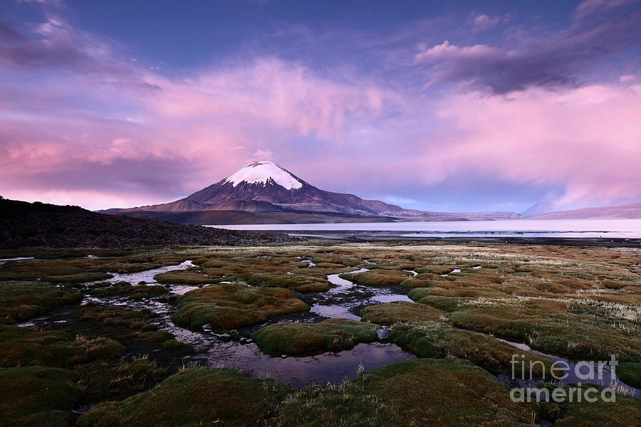 Twilight Over Parinacota Volcano and Lake Chungara Chile Photograph by James Brunker