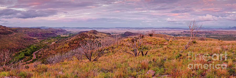 Twilight Panorama of Limpia Canyon and Chihuahua Desert - Davis Mountains State Park - Fort Davis  Photograph by Silvio Ligutti