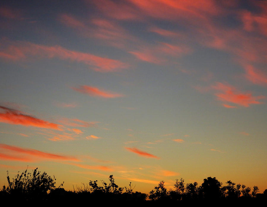 Twilight Sky Photograph by Mark Blauhoefer