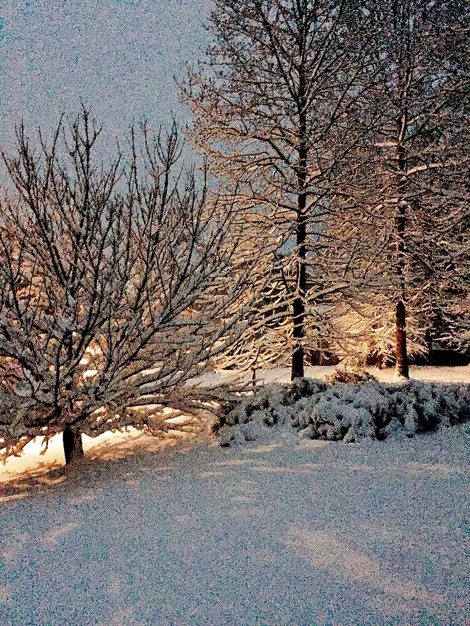 Twilight Snow Photograph by Eileen Brymer