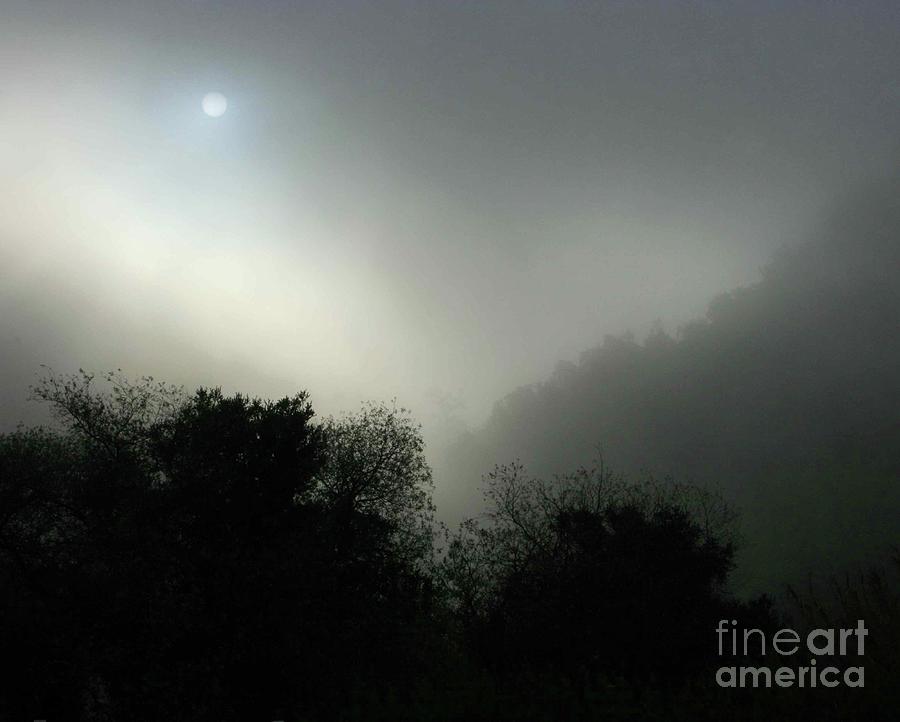 Twilight Valley of the Moon California Photograph by Gus McCrea