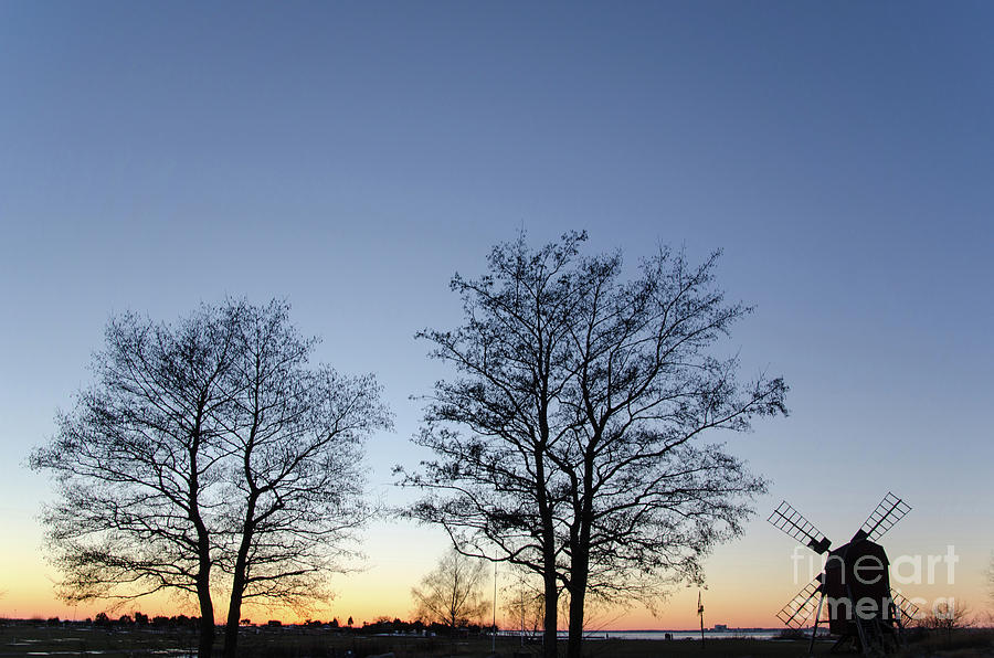 Nature Photograph - Twilight view with trees and a windmill by Kennerth and Birgitta Kullman