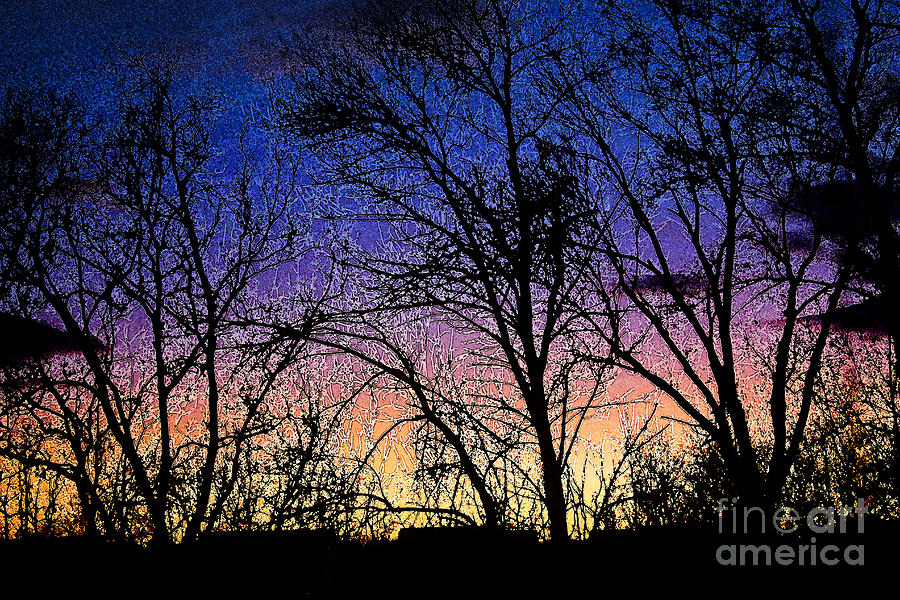 Twilight Winter Trees Digital Art by Karen Adams