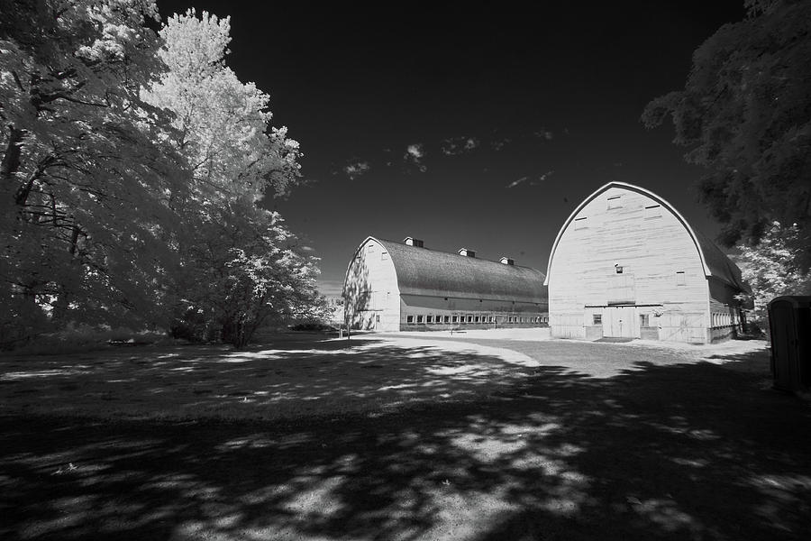 Twin Barns Photograph by Bob Cournoyer