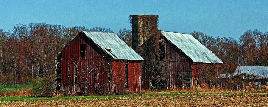 Twin Barns of Queen Annes County Photograph by Bill Swartwout