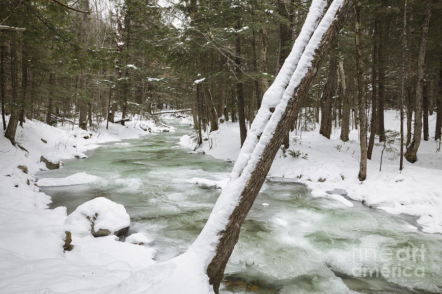 Twin Brook - White Mountains New Hampshire Photograph by Erin Paul Donovan