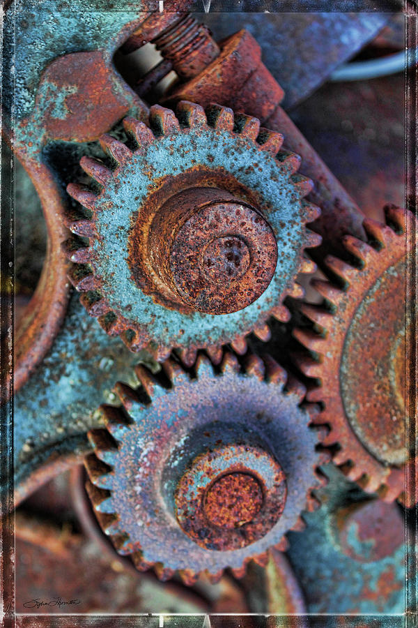 Twin Cogs Photograph by Sylvia Thornton