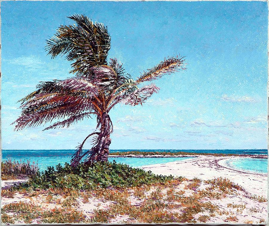 Twin Cove Palm Painting by Eddie Minnis