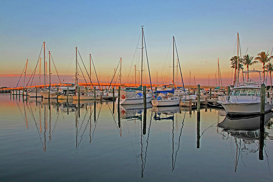 Twin Dolphin Marina 2 Photograph by HH Photography of Florida