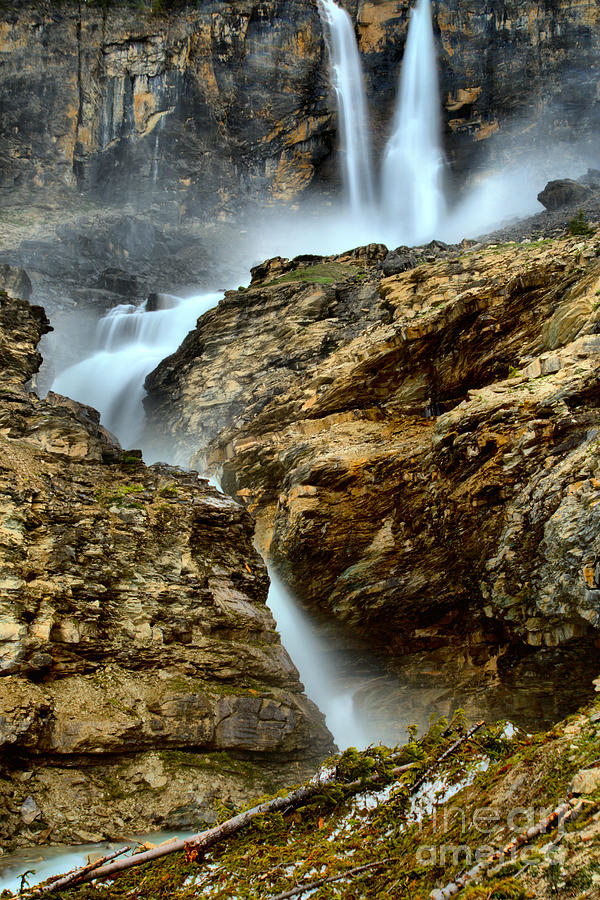 Twin Falls At Yoho Photograph by Adam Jewell