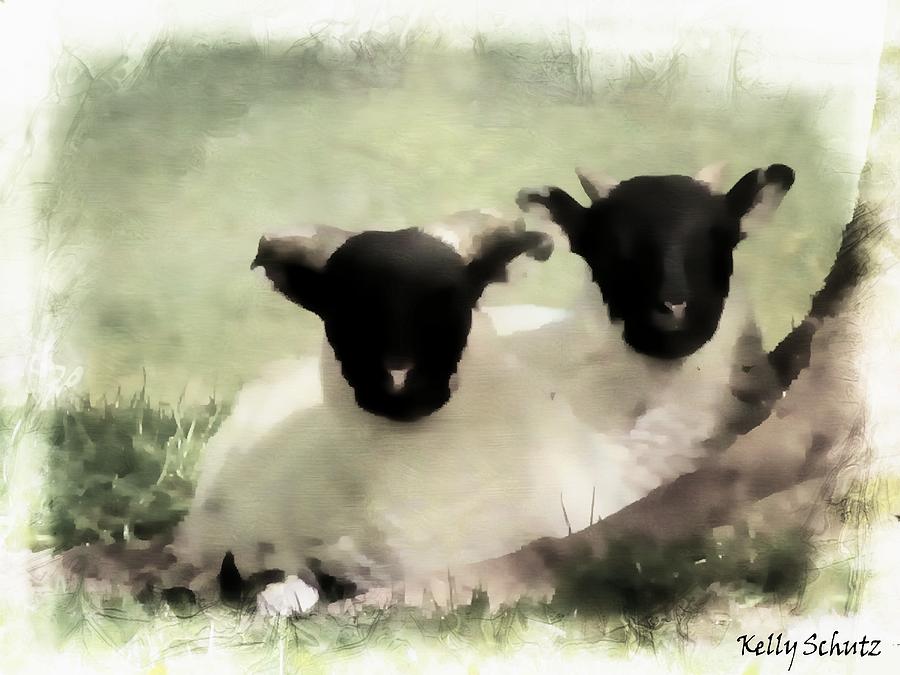 Farm Digital Art - Twin Lambs by Kelly Schutz