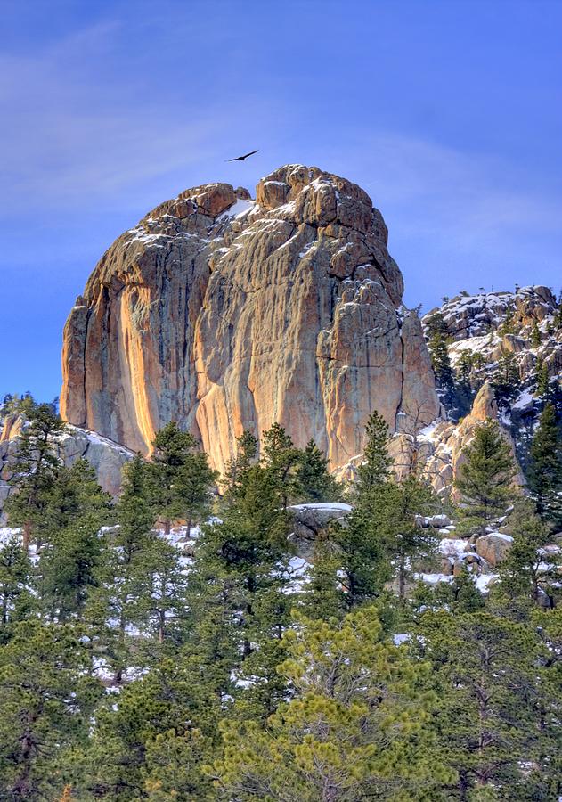 Estes Park Photograph - Twin Owls by G Wigler Estes Park Photograph - Twin Owls by G Wigler
