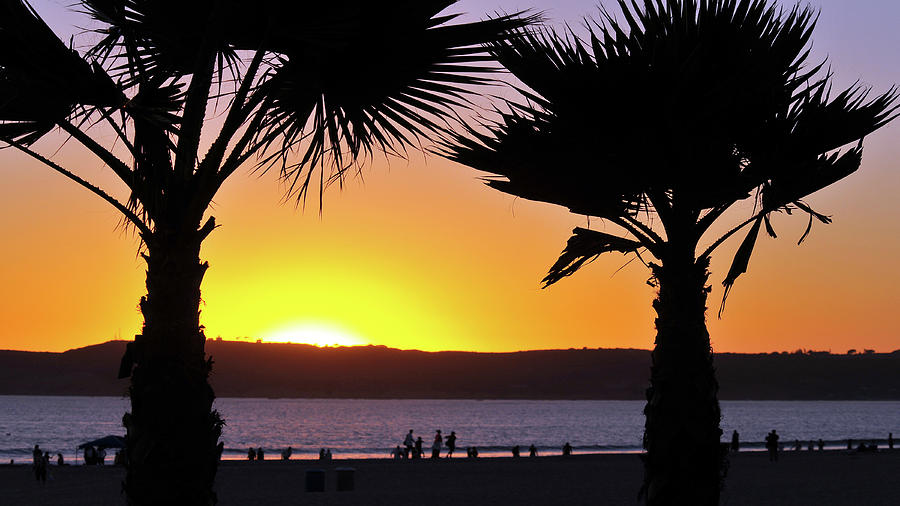 Twin Palms at Sunset by Howard Bagley Twin Palms at Sunset by Howard Bagley