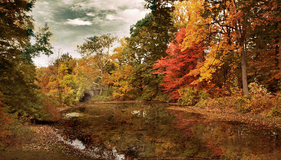 Nature Photograph - Twin Pond Autumn by Jessica Jenney