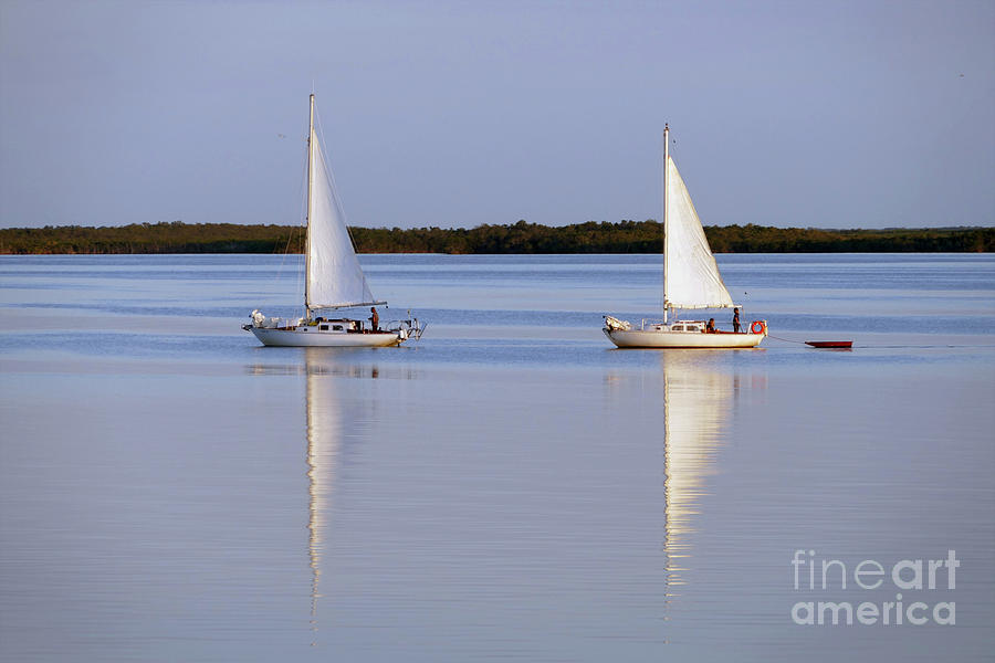 Twin Sailboats Morning Sail Photograph by Catherine Sherman
