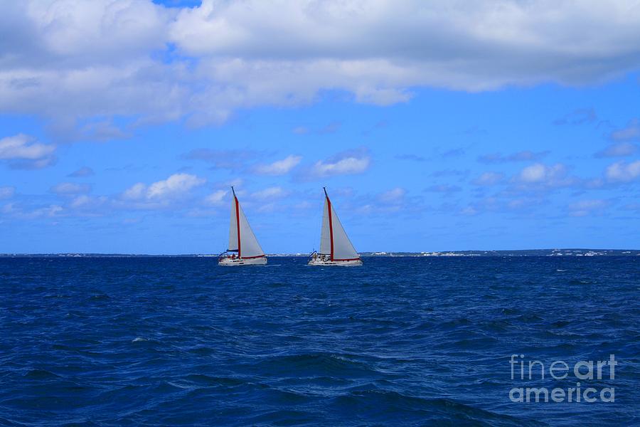 Twin Sails Photograph by John W Smith III - Fine Art America