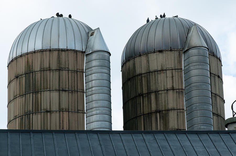 Twin silos Photograph by Brian Green