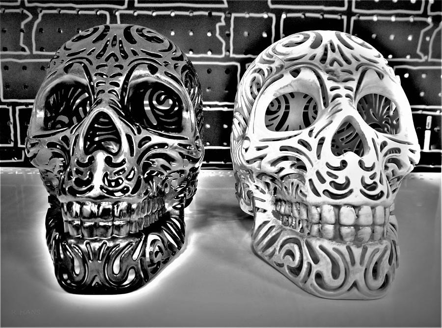 TWIN SKULLS in BLACK AND WHITE 1 Photograph by Rob Hans