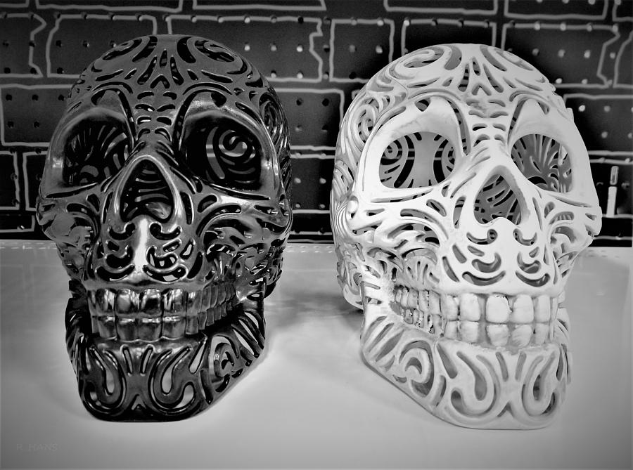 TWIN SKULLS in BLACK AND WHITE Photograph by Rob Hans