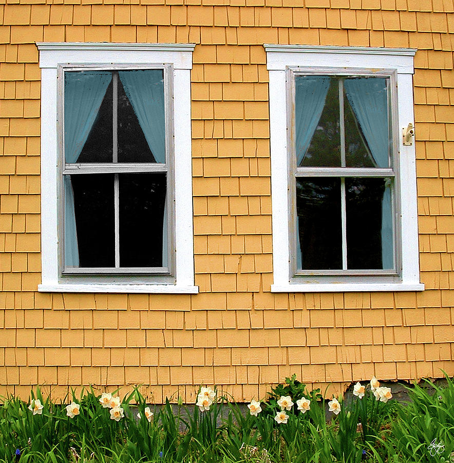 Twin Windows on a Mustard House Photograph by Wayne King