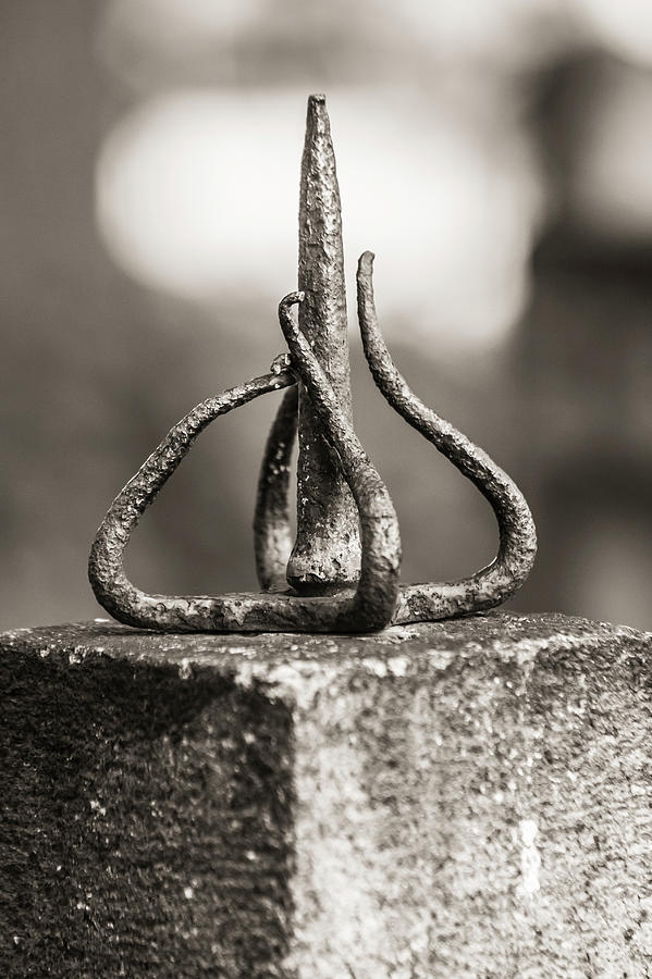 Twisted iron Photograph by Jason Hughes