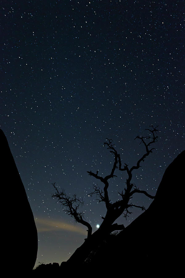 Twisted Night Photograph By Brian Knott Photography Fine Art America