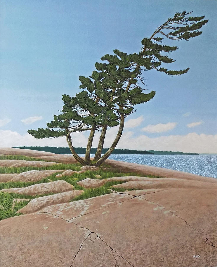 Twisted Rock Pine Painting by Kenneth M Kirsch