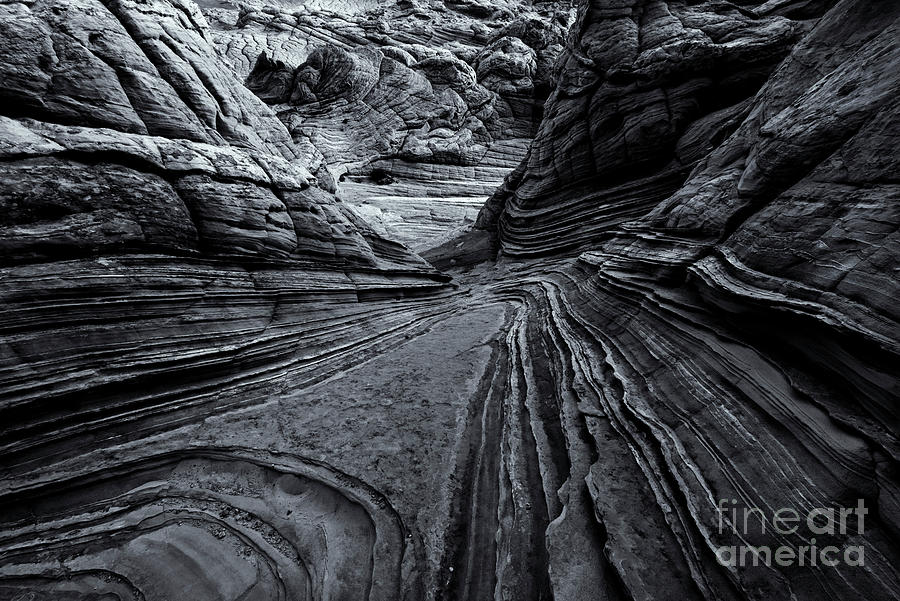 Desert Photograph - Twisted Stone by Michael Dawson